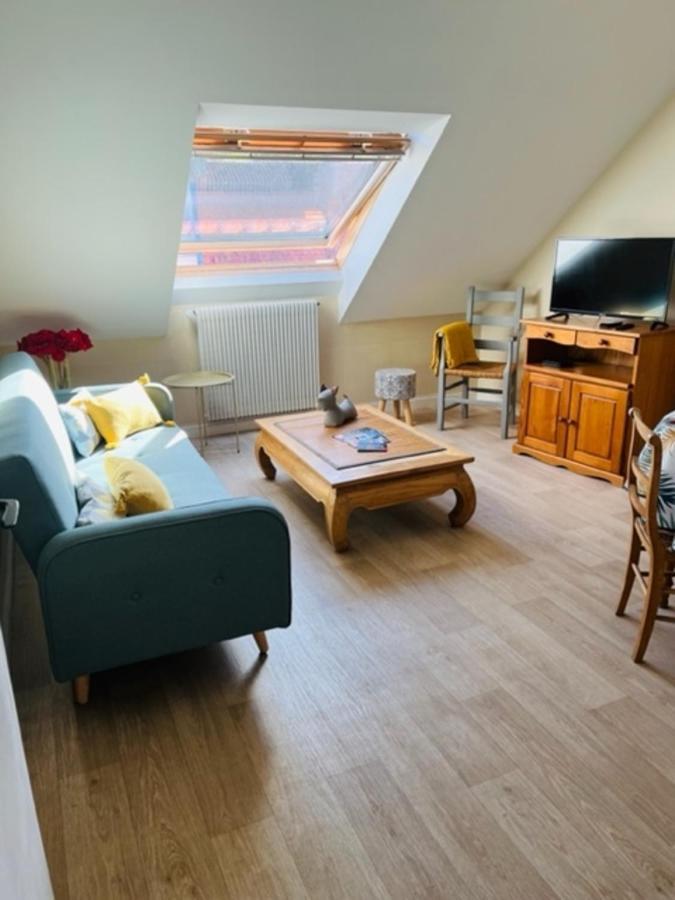 Appartement Entre Ville Et Nature Saint-Étienne-au-Mont エクステリア 写真